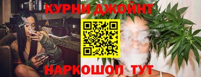 шишки Жуковский