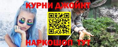 шишки Жуковский