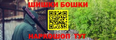 PSILOCYBIN Заводоуковск