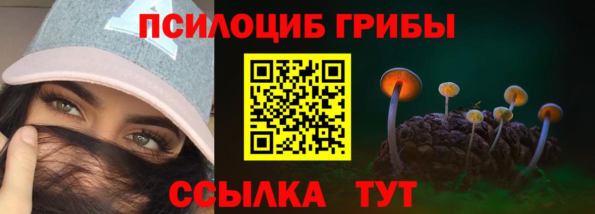Кулебаки  Галлюциногенные грибы Psilocybe  Вход с VPN 